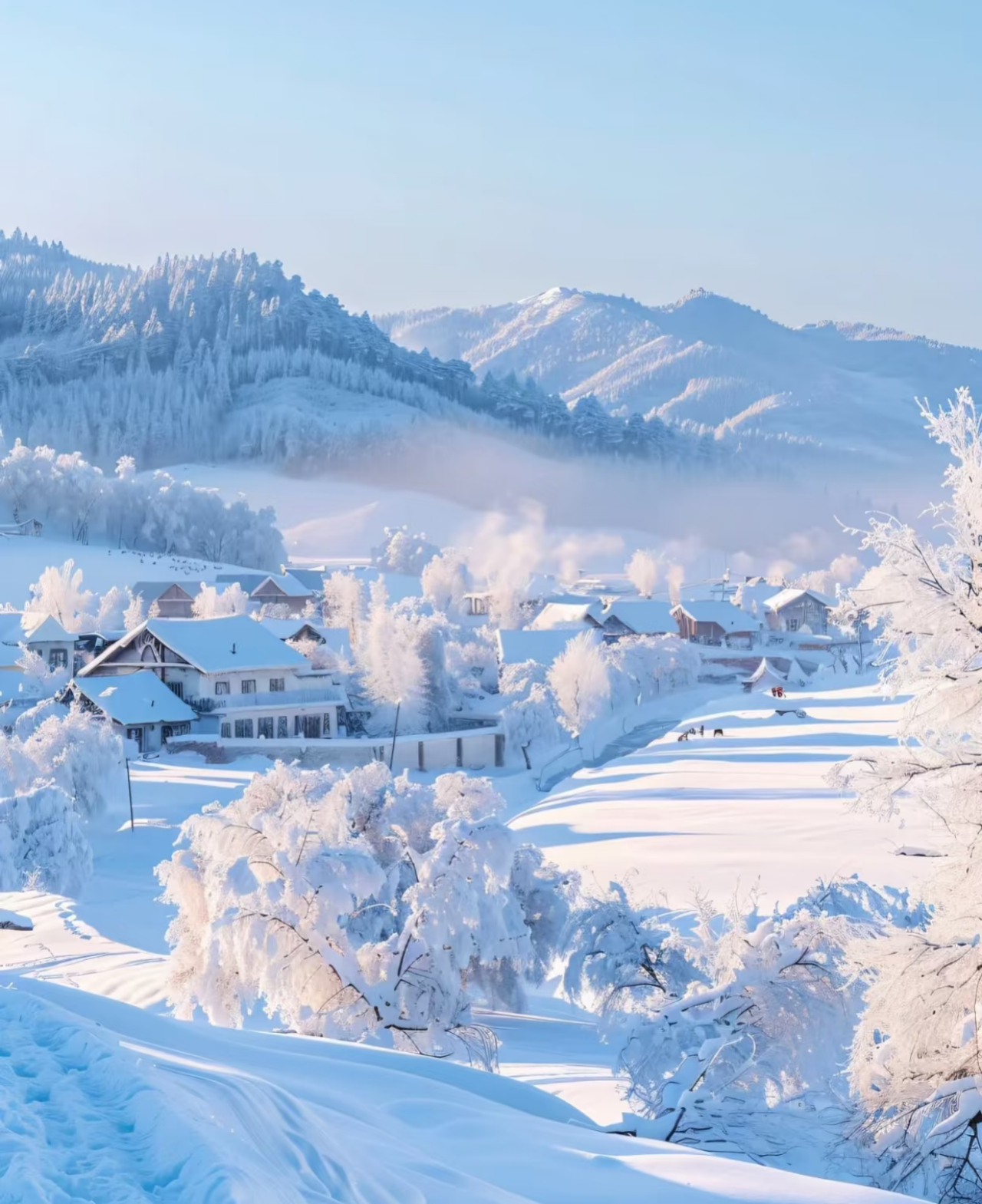 Harbin:Yabuli Ski Resort Beginner 3-Hour Ski Ticket