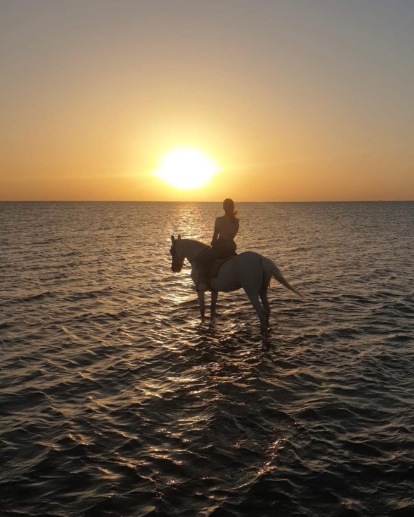 Hurghada Horseback Riding – 2 Hours Beach Ride