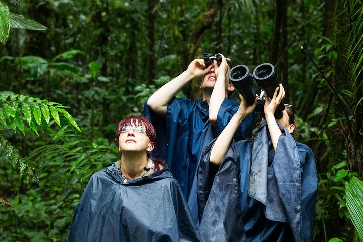 Costa Rica Safari 14D/13N Vacation Package