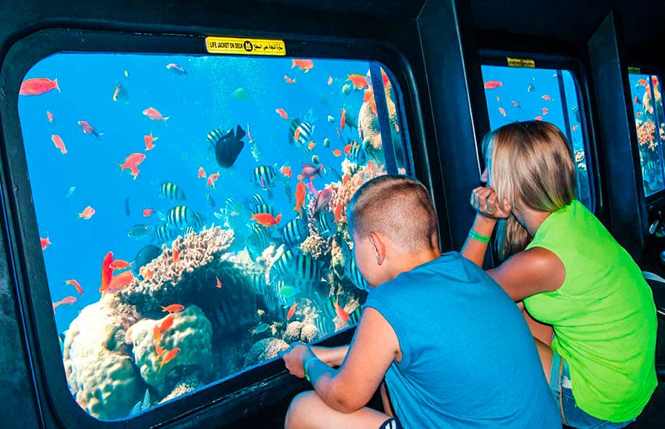 Nefertari Seascope boat trip from Marsa Alam.