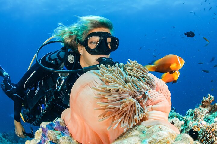 Dubai Discover Scuba Diving Adventure