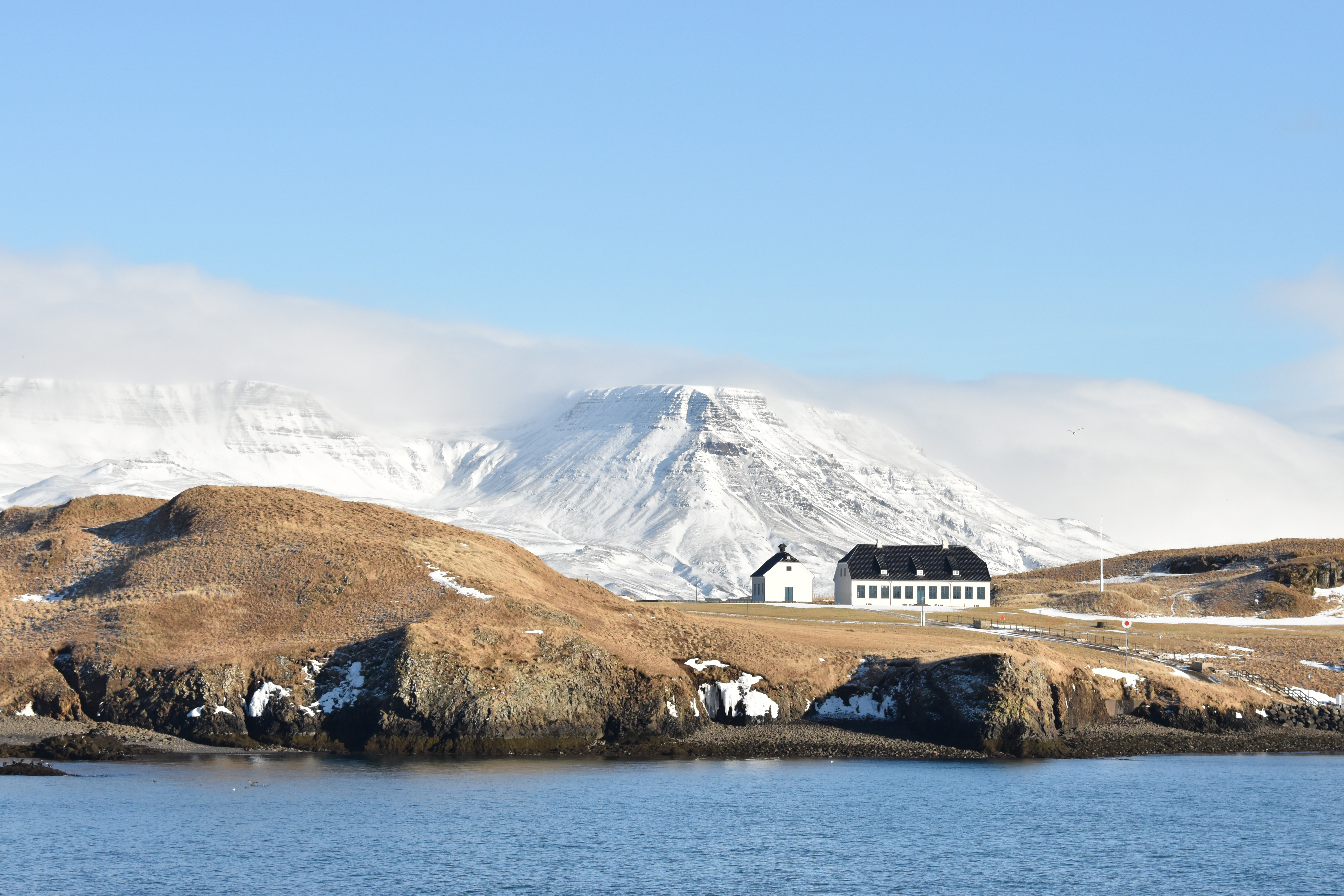 Reykjavík Whales & Viðey Island