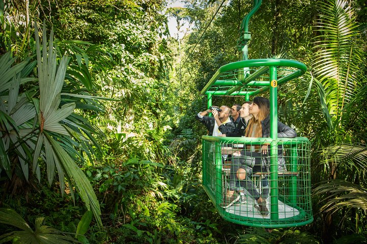 Rain Forest Aerial Tram Private Tour from San Jose