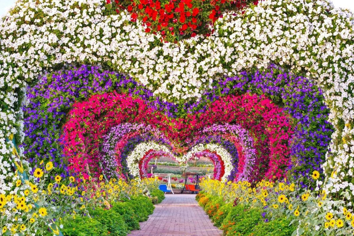 Dubai Miracle Garden Tickets