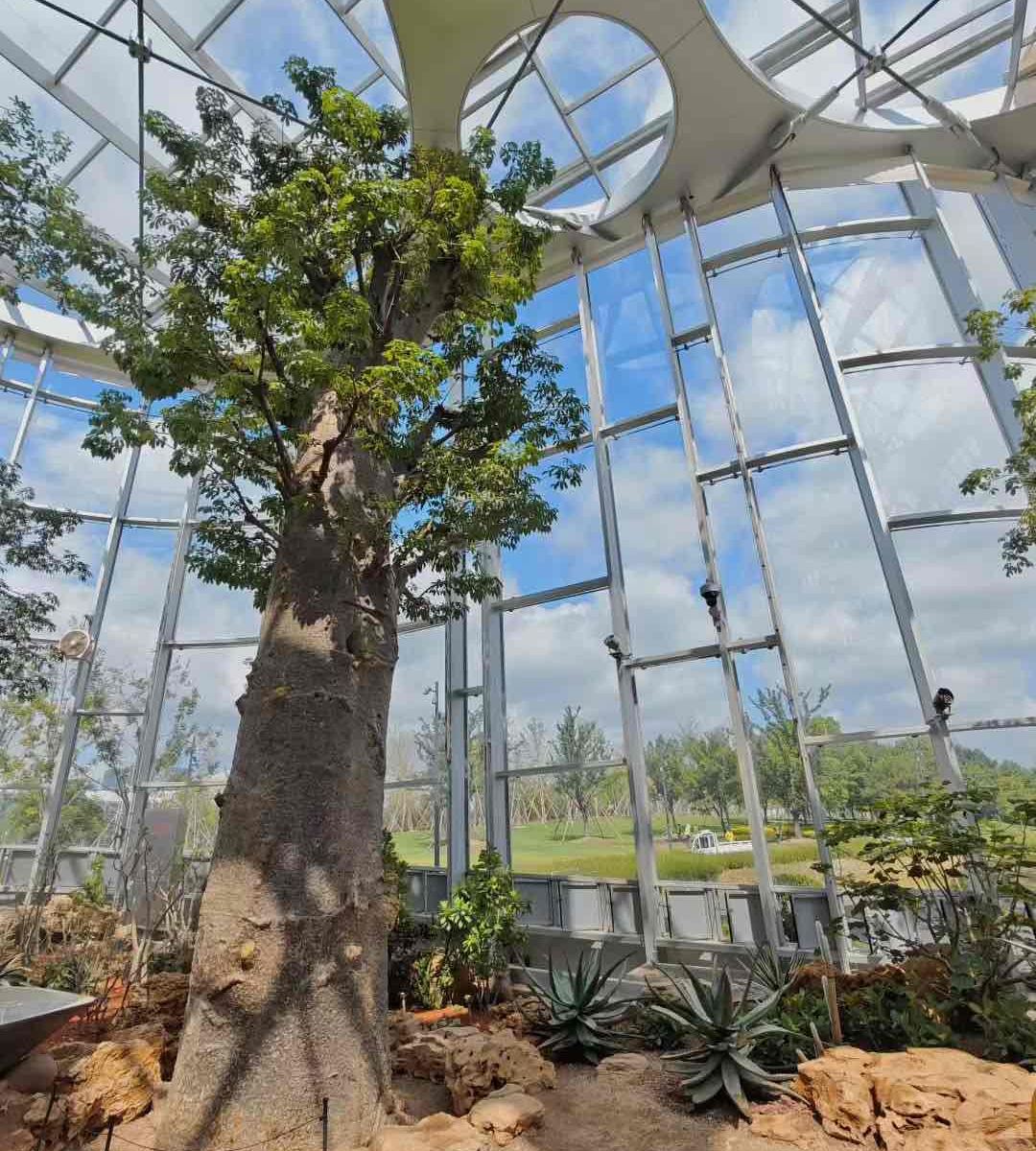 Shanghai Greenhouse Garden Adult Ticket (Entry during 11:00-13:00 • Asia’s Largest Glass Greenhouse)