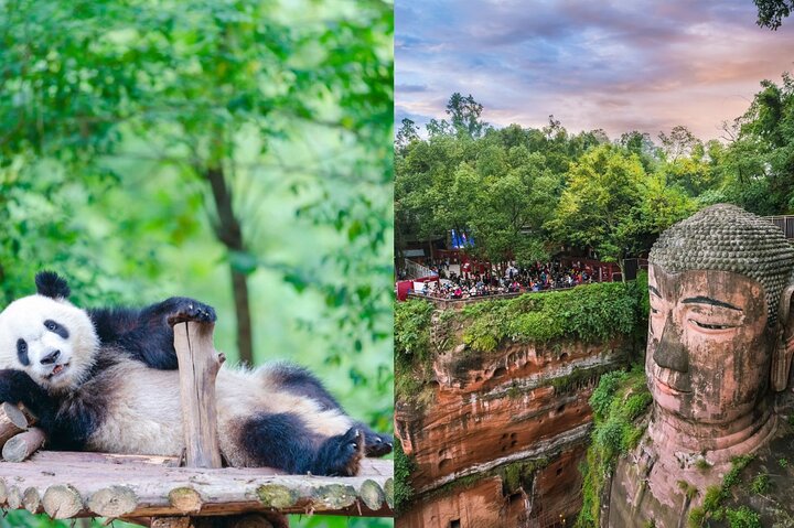 Chengdu Panda Base Ticket/Experiences from Chunxi Road