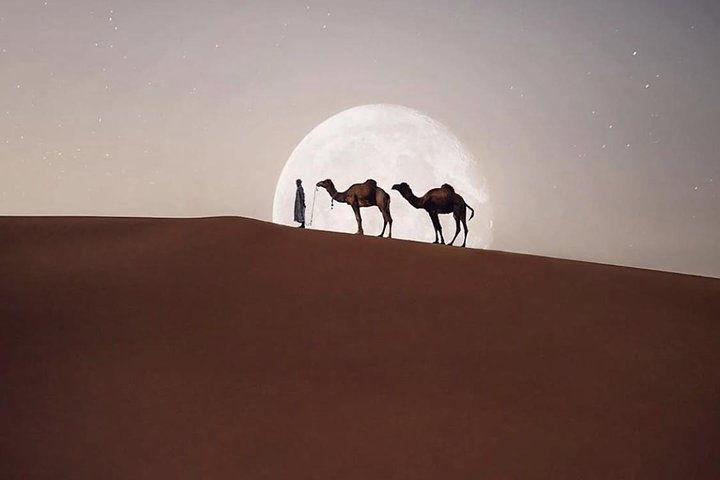 Casablanca : Hire a car with driver and licensed guide