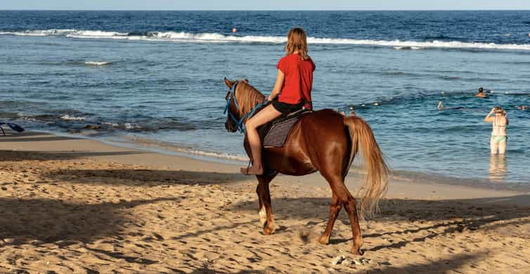1 Hour desert Sunrise horse riding from Hurghada