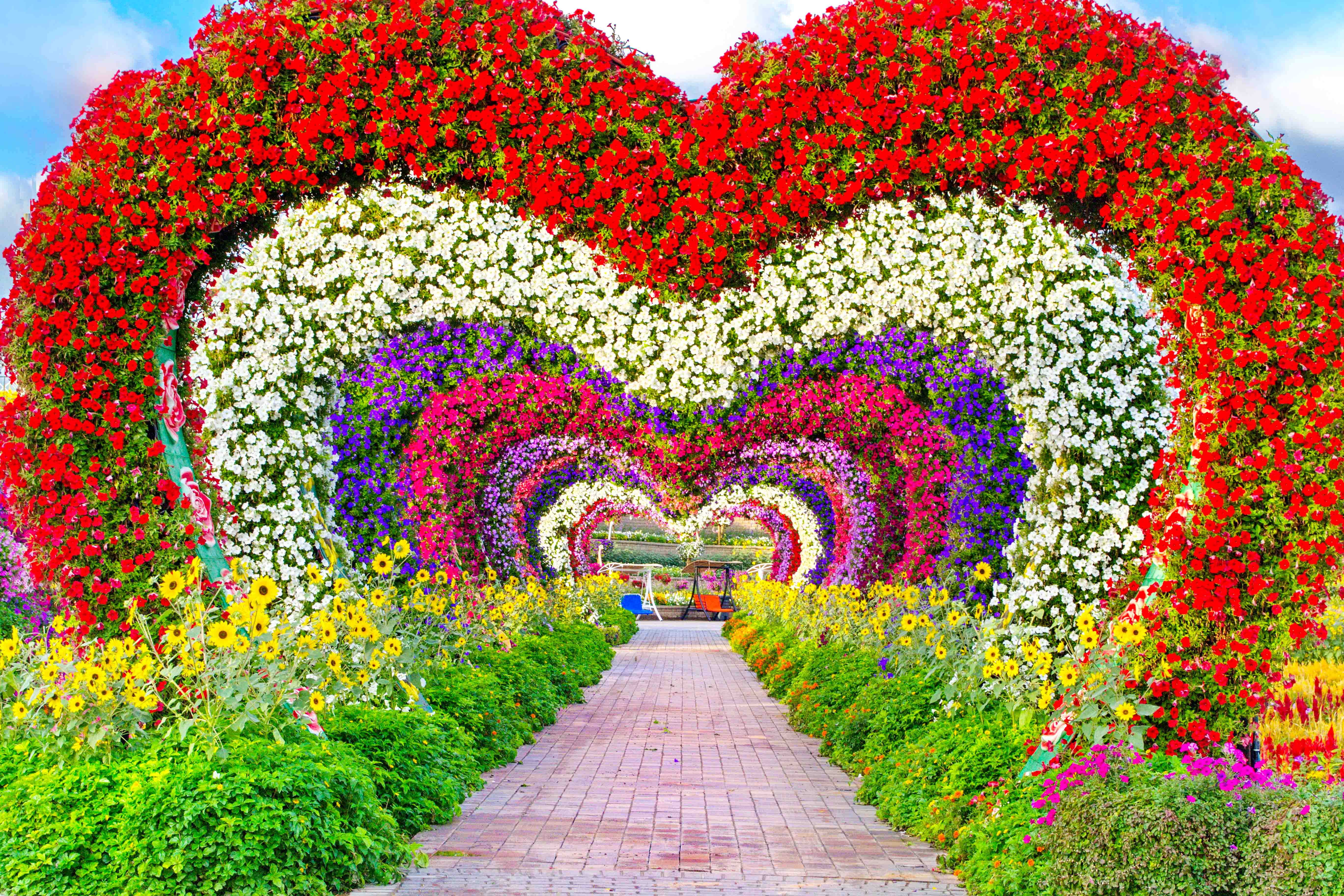 Dubai Miracle Garden, Dubai Mall Shopping, Burj Khalifa 124/125th floor and Musical Fountain Show tour with Private Transfers