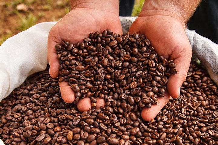 Private Coffee Tour Grecia and Sarchi Oxcarts