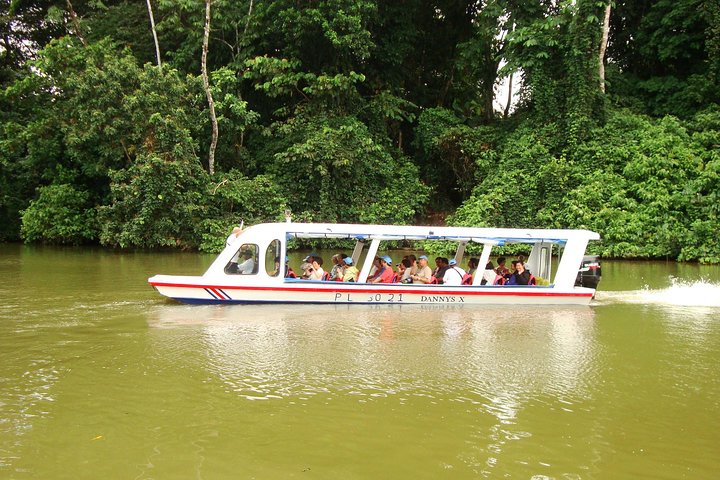 Sarapiqui River Cruise & Rainforest Walk. Private Tour