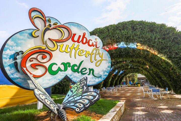 Dubai Butterfly Garden Admission Ticket
