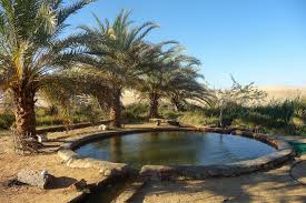 3 Days Trip to Siwa Oasis From Cairo.