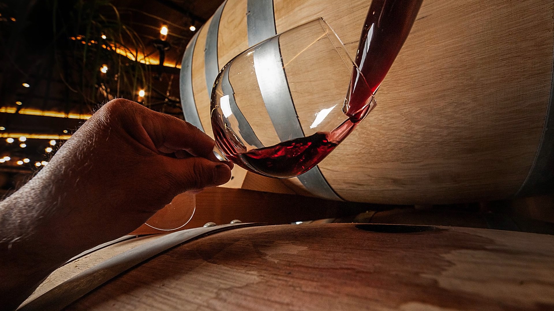 Wine Tasting straight from the barrel in San Gimignano countryside