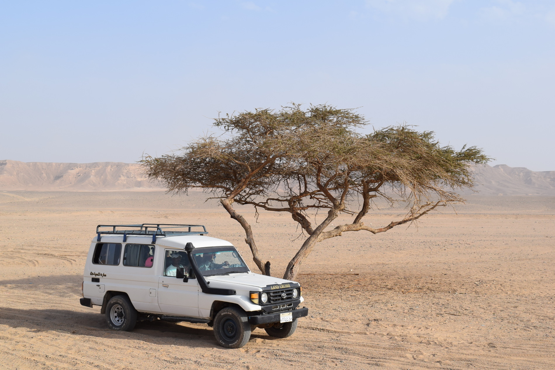 4×4 Safari: Marsa Alam Desert Adventure