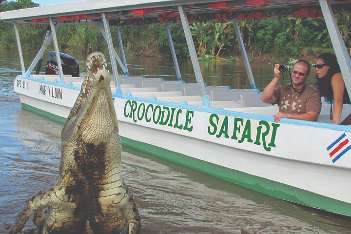 Crocodile Safari Expedition & Carara National Park Private Tour