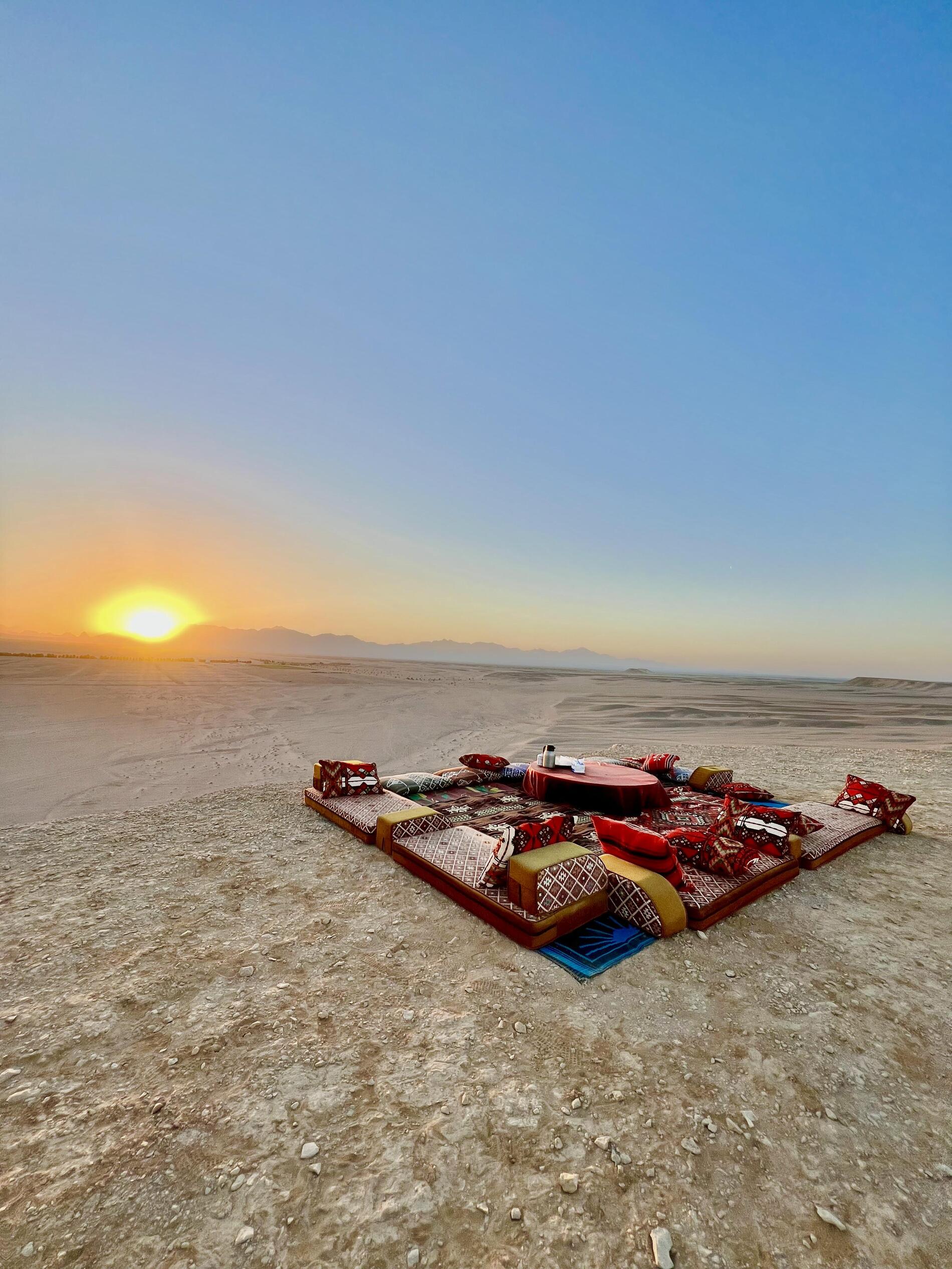 TH Exclusives: Phoenix of the Desert – Authentic Safari in Hurghada