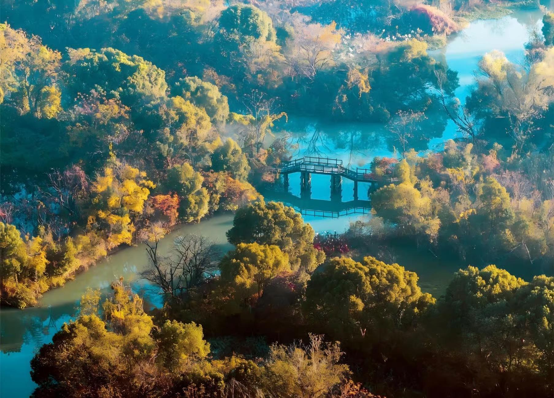 Half-Day Tour with Expert Guide: Explore Hangzhou Xixi Wetland Park (Includes Entry & Boat Ticket)