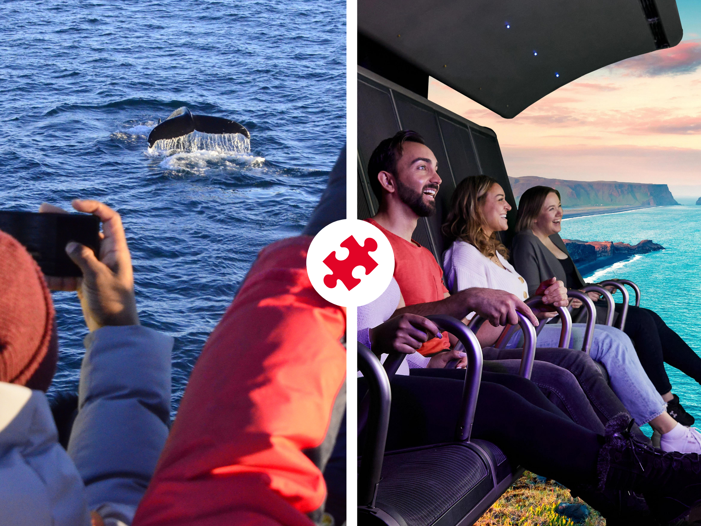 Whales & FlyOver Iceland