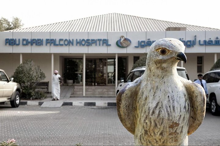 Private Trip to Abu Dhabi Mosque and Falcon Hospital