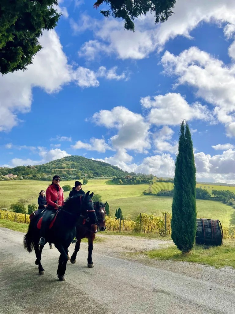 Montepulciano: Horseback Ride on the Nobile Wine Roads, with visit to a farmhouse and typical lunch