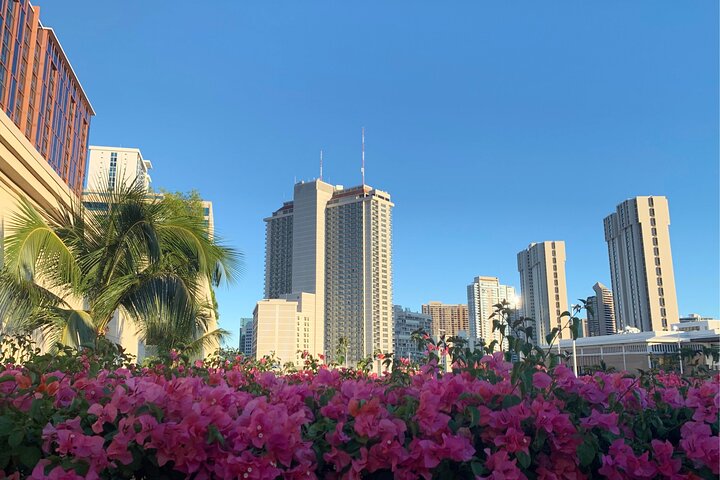 Honolulu Scavenger Hunt and Highlights Self Guided Audio Tour