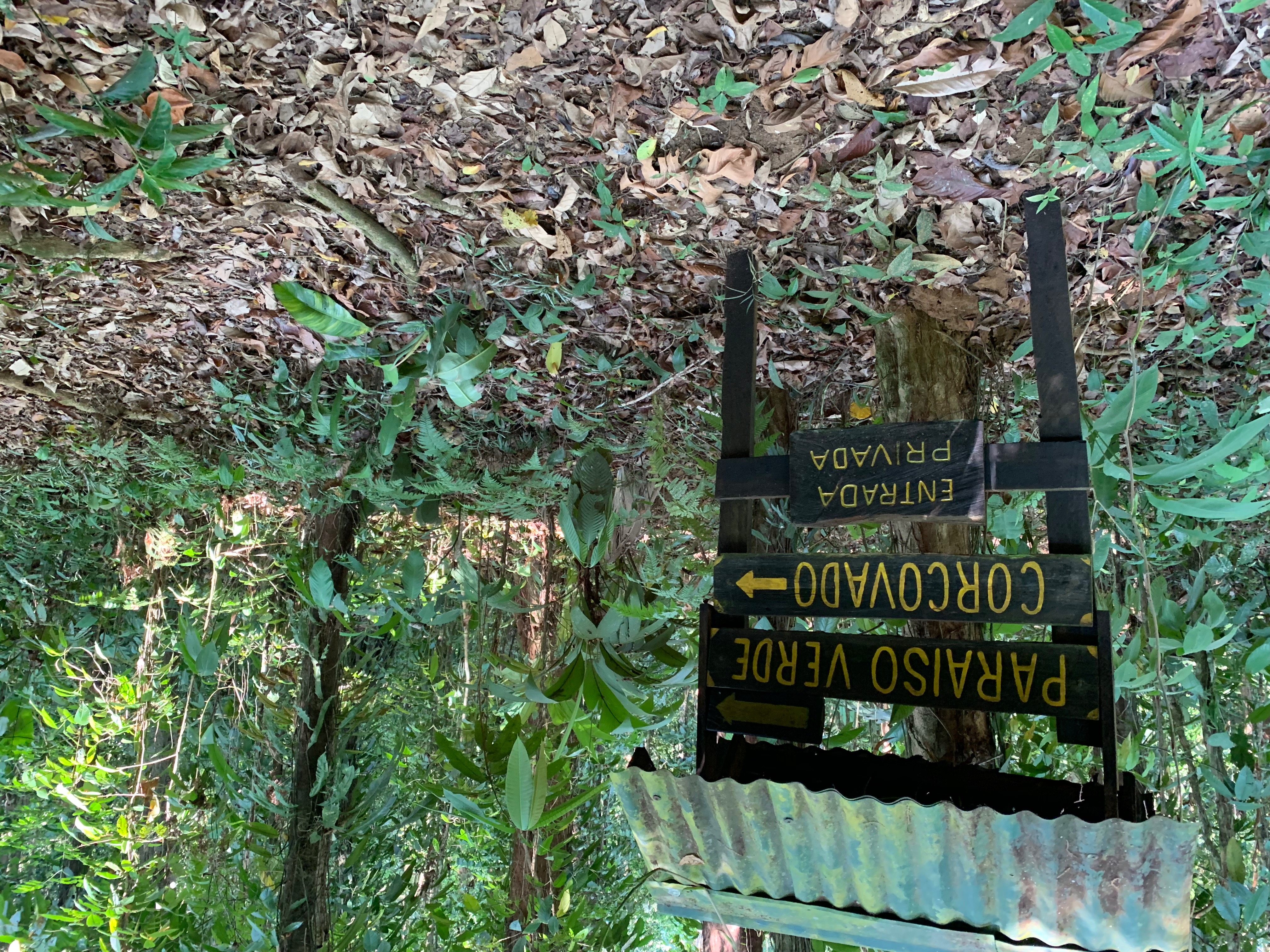 Paraiso verde Corcovado Day Tour