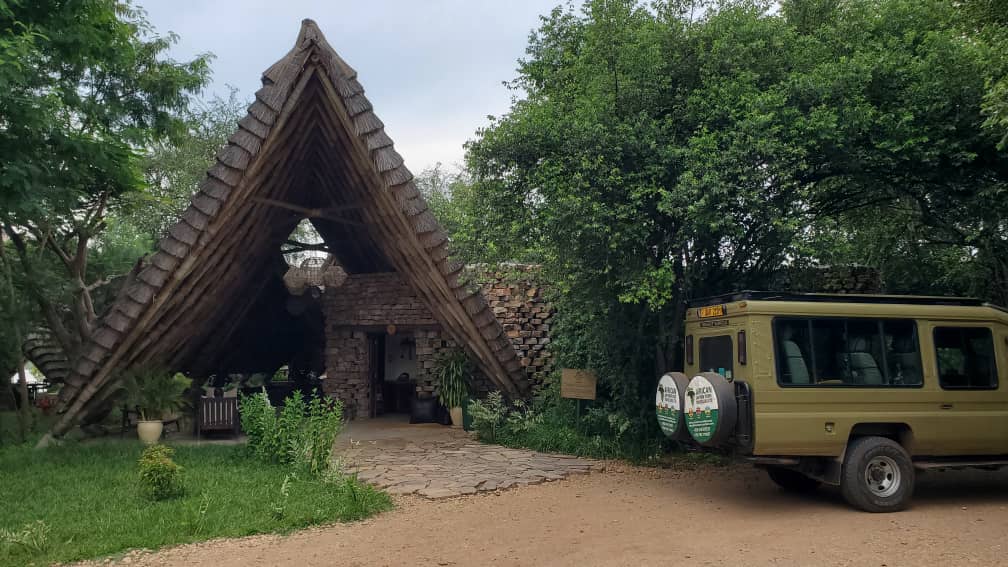 5 Days Gorilla Tracking, Lake Mburo & Queen Elizabeth Safari