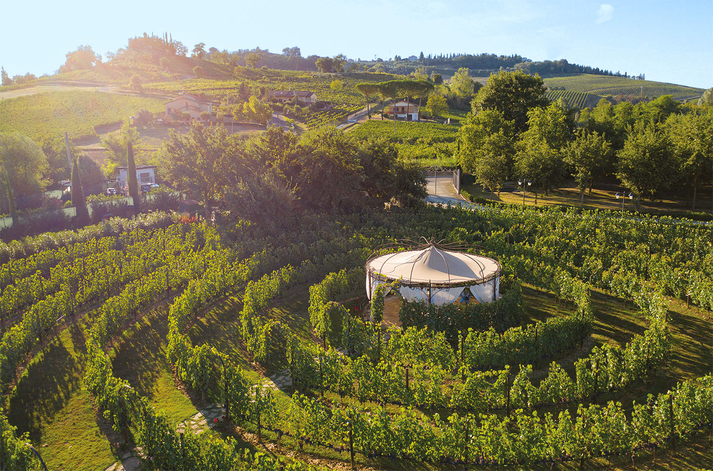 Vineyard Canopy Lunch & Wine Tasting in San Gimignano countryside