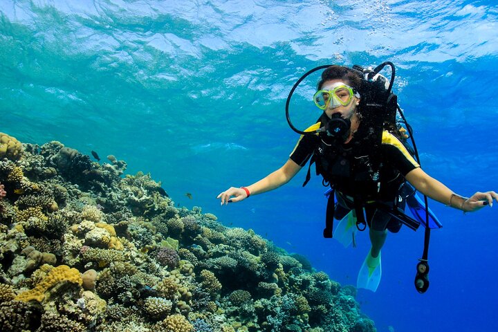 13 days adventure to Cairo Nile valley and Red sea