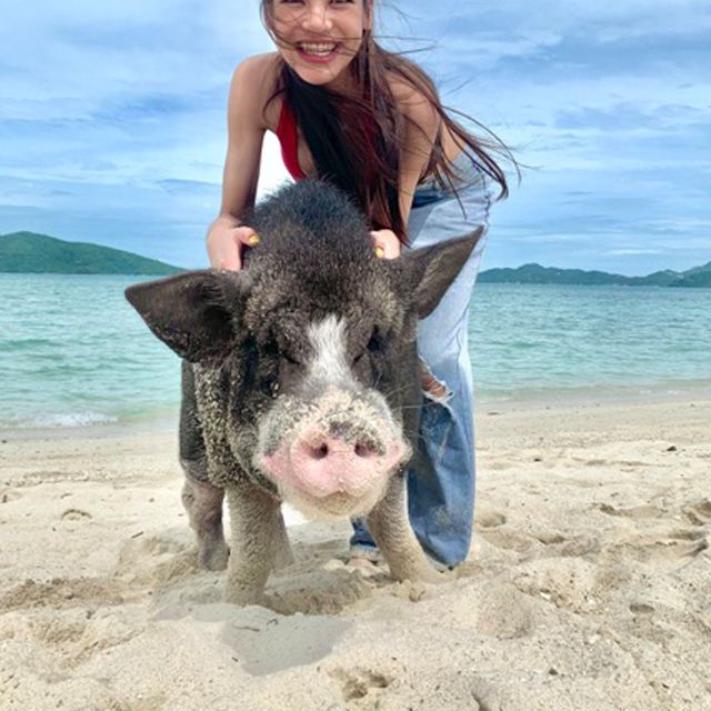 Koh Samui: Pig Island Tour by Speedboat with Snorkeling Koh Samui: Pig Island Tour by Speedboat with Snorkeling