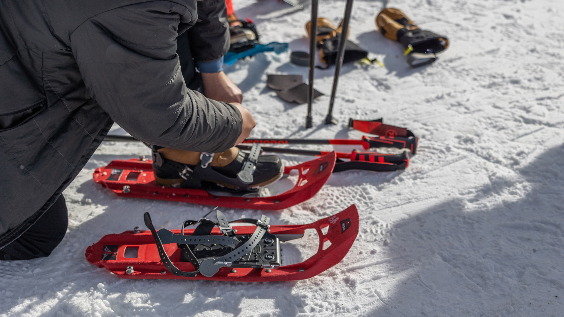 SISU Snowshoeing Day Experience – Arctic Forest Adventure SISU Snowshoeing Day Experience – Arctic Forest Adventure