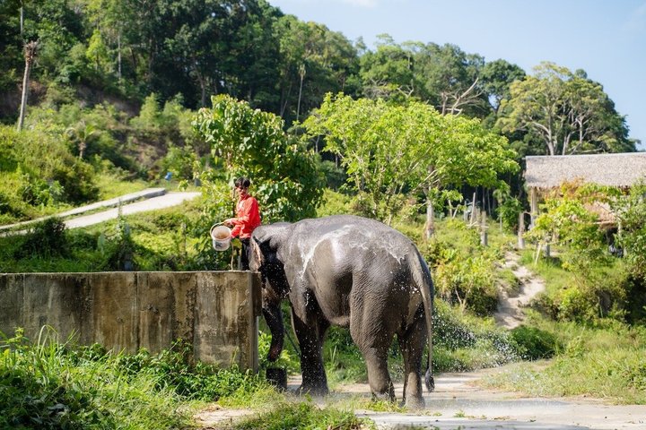 Elephant Sanctuary Small Group Tour in Phuket Elephant Sanctuary Small Group Tour in Phuket