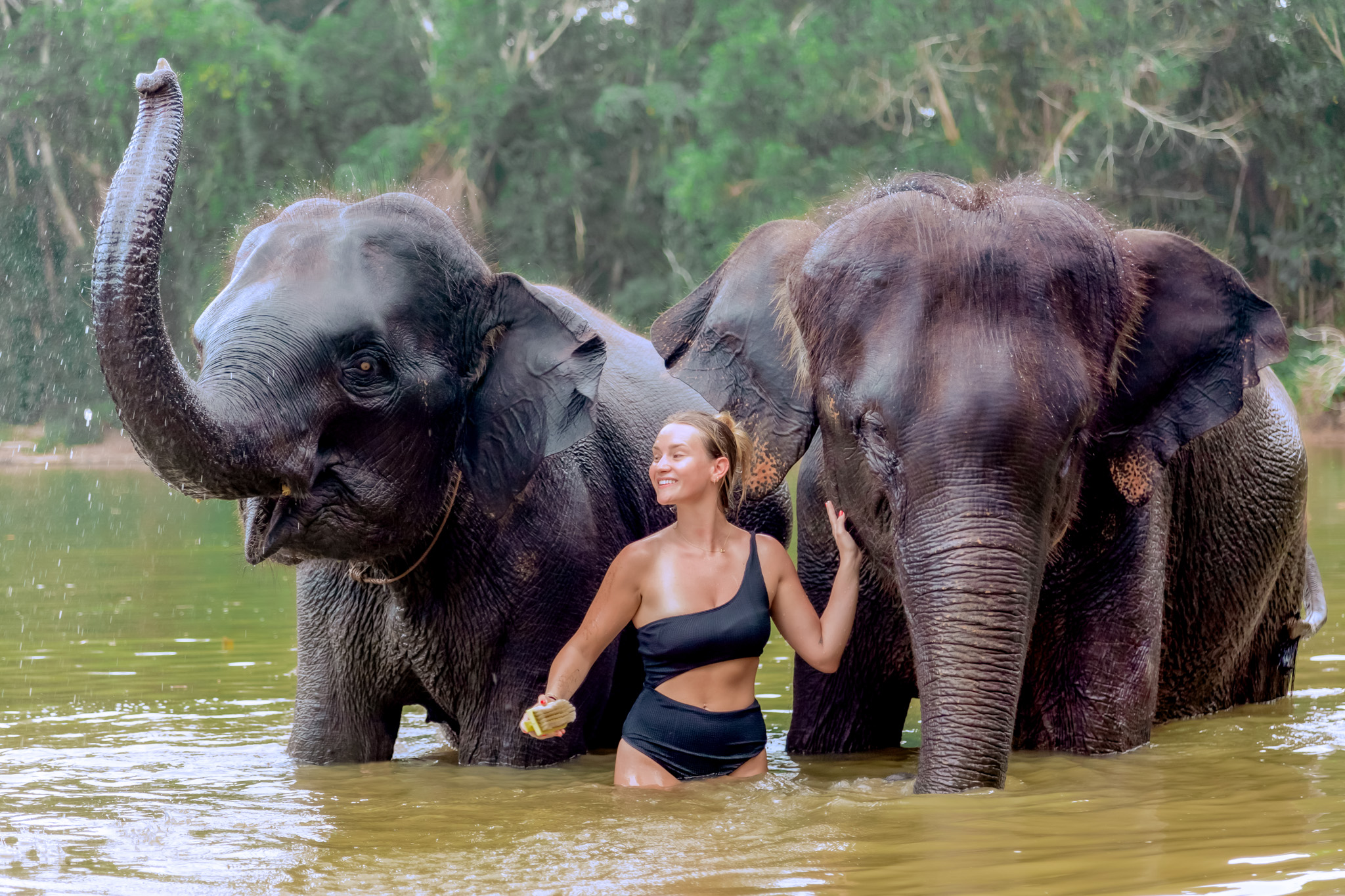 4-Hours Phuket Ethical Elephant Sanctuary Tour with Lunch 4-Hours Phuket Ethical Elephant Sanctuary Tour with Lunch