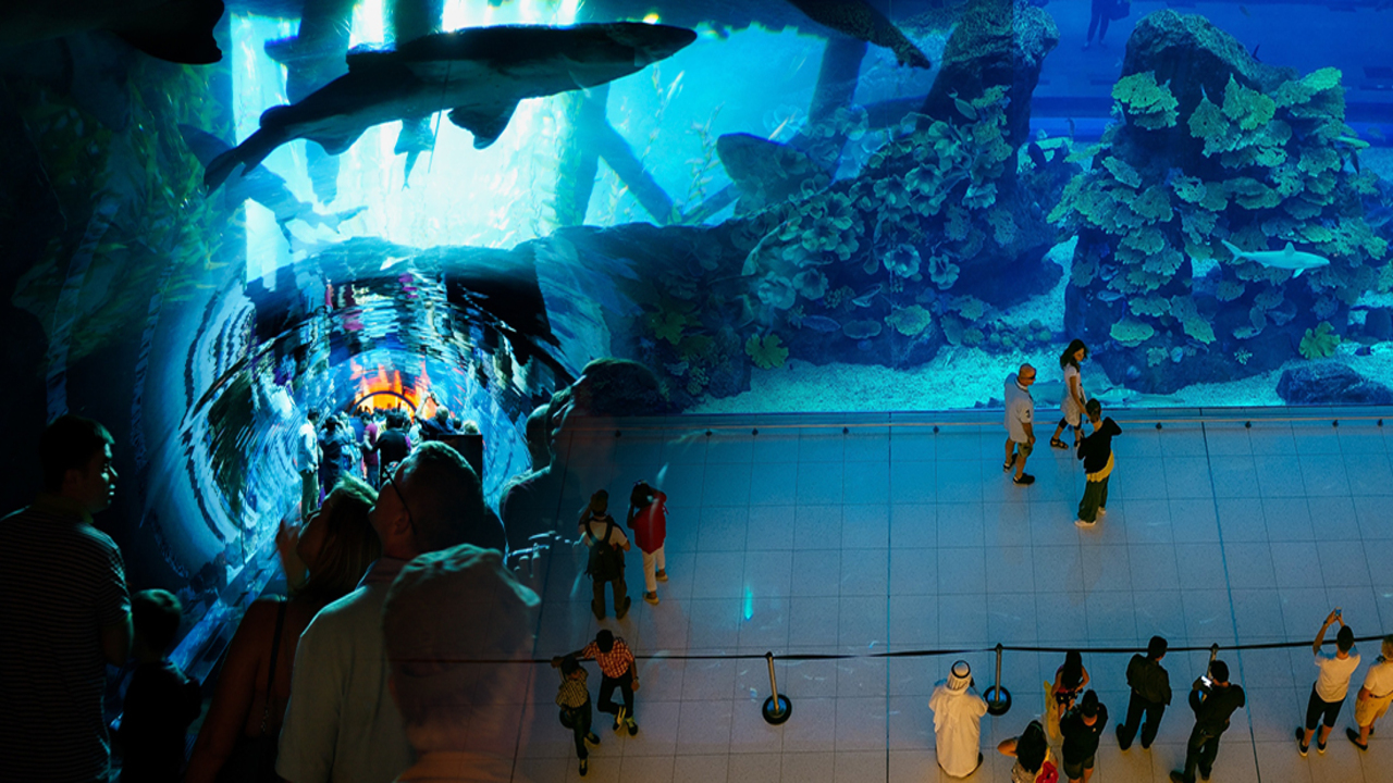 Private Half Day Dubai City Tour with Dubai Mall Shopping, Aquarium & Zoo, Burj Khalifa 148th floor & Musical Fountain Show