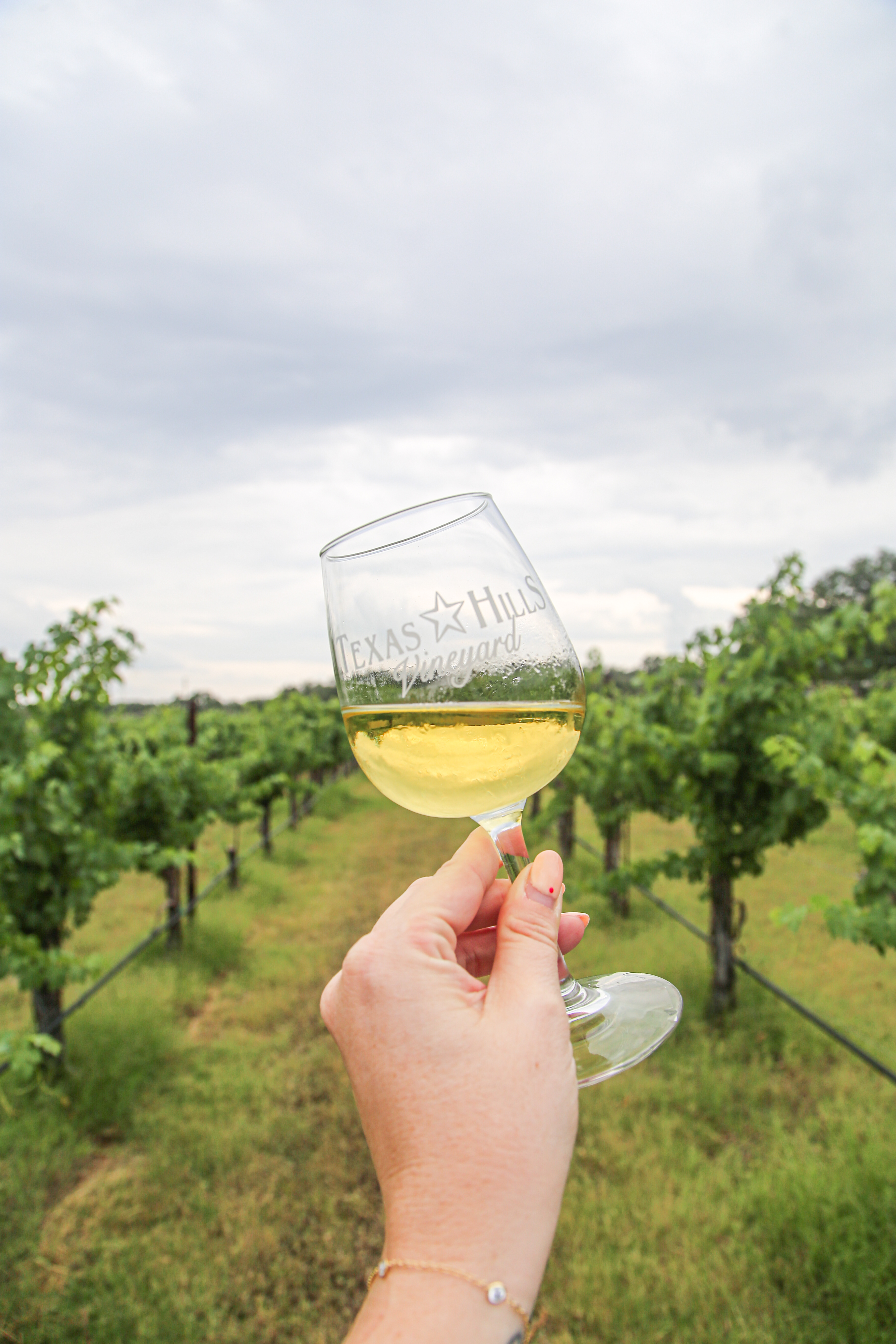 Wine Tasting