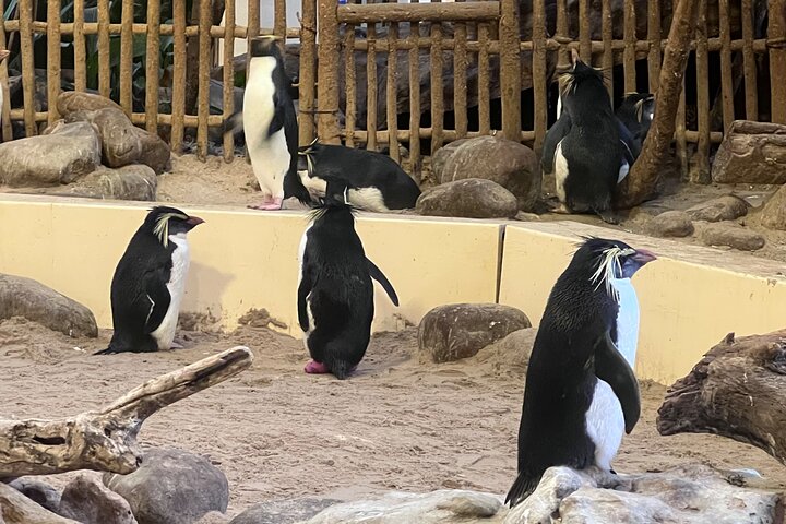 Robben Island & Aquarium Tour with Tickets & Transfers Included Robben Island & Aquarium Tour with Tickets & Transfers Included