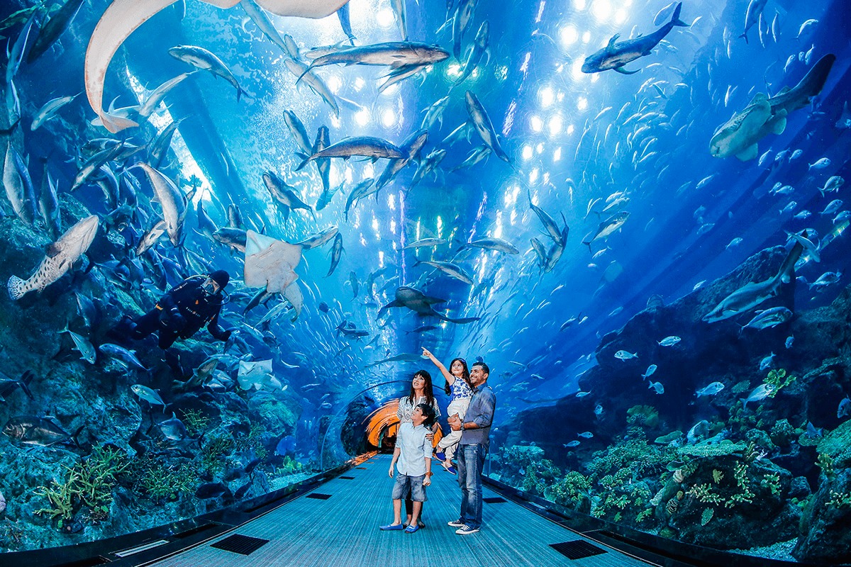Private Half day Dubai City Tour with Dubai Mall shopping, Aquarium & Zoo, Burj Khalifa 124/125th floor visit & Musical Fountain Show