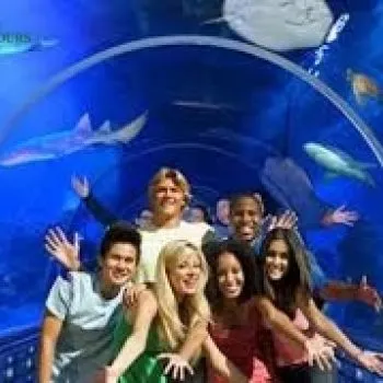 Grand Aquarium in hurghada