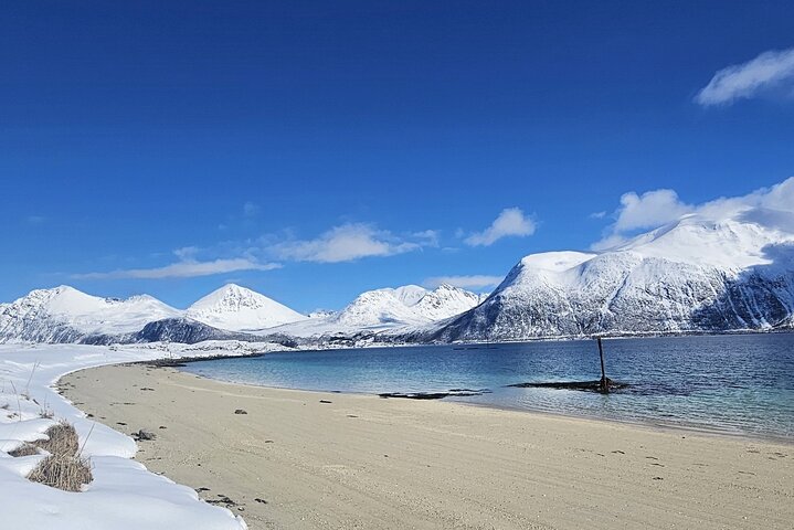 Tromsø Arctic Fjords Adventure Tour with Local Lunch