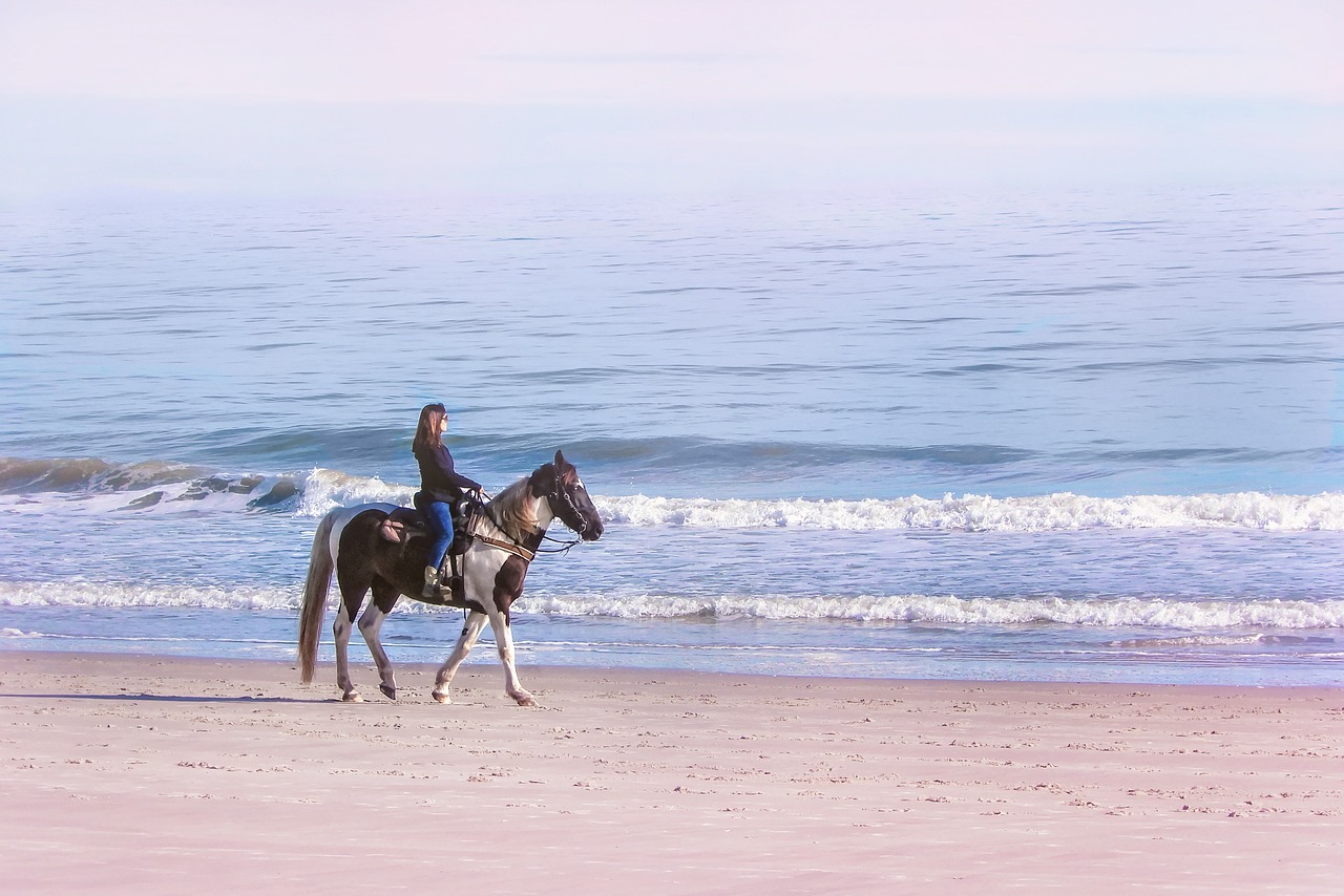 Hurghada Horseback Riding with Swimming in The Sea