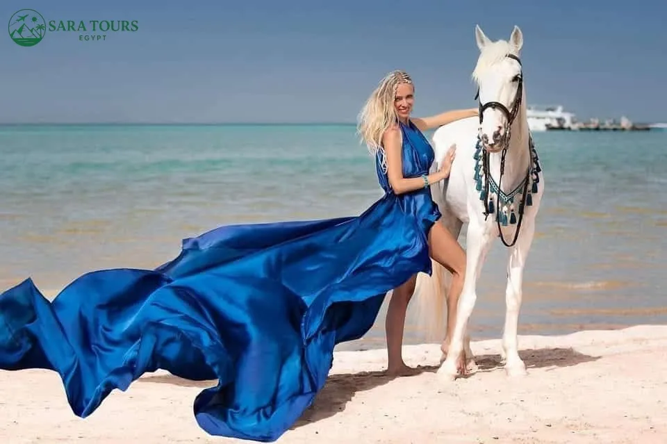 Horseback riding with a swim in the Red Sea