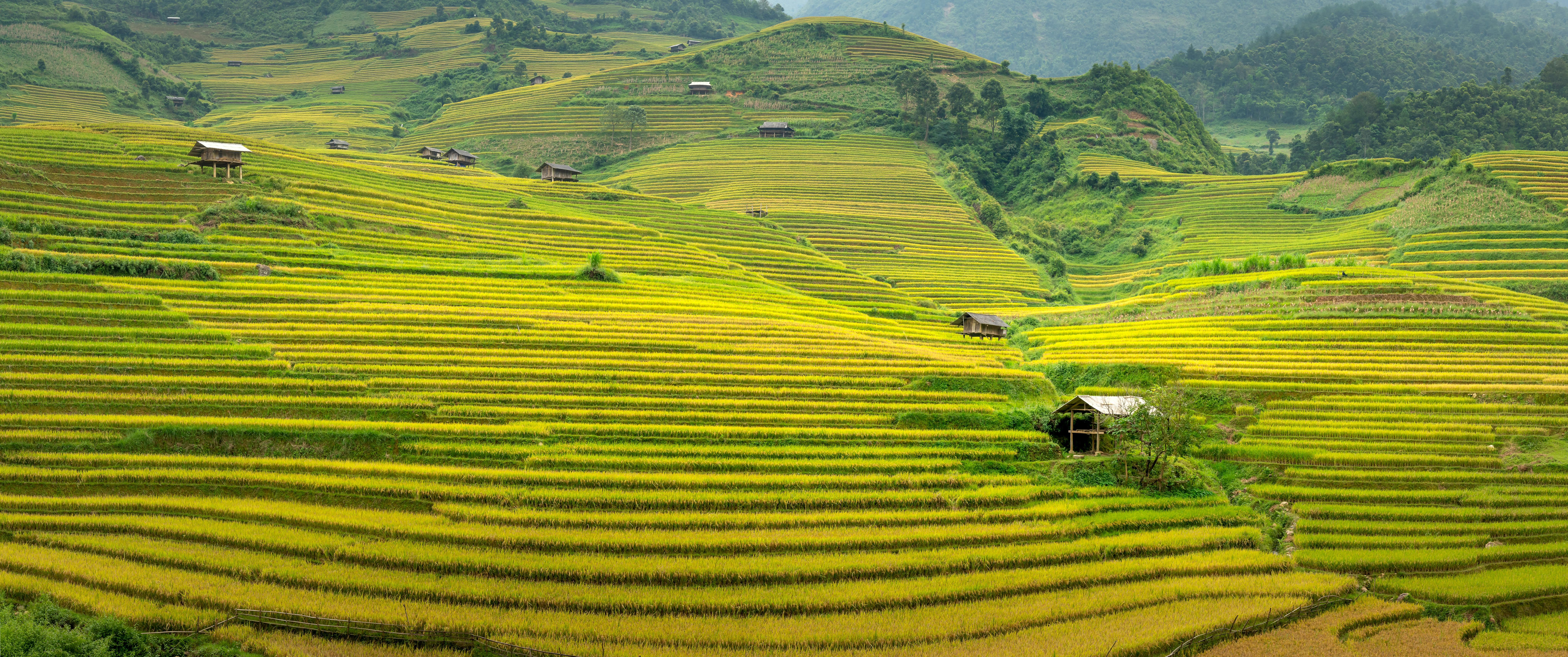 Essence Of Vietnam 15 Days 14 Nights
