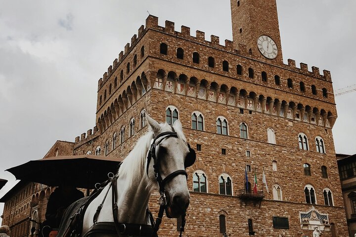 Florence 5 Hour Private City Tour