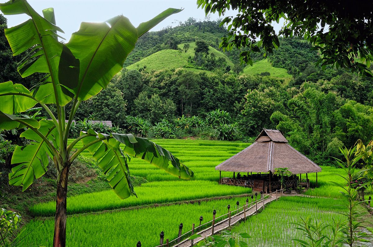 Laos Family Adventure 10 Days 9 Nights