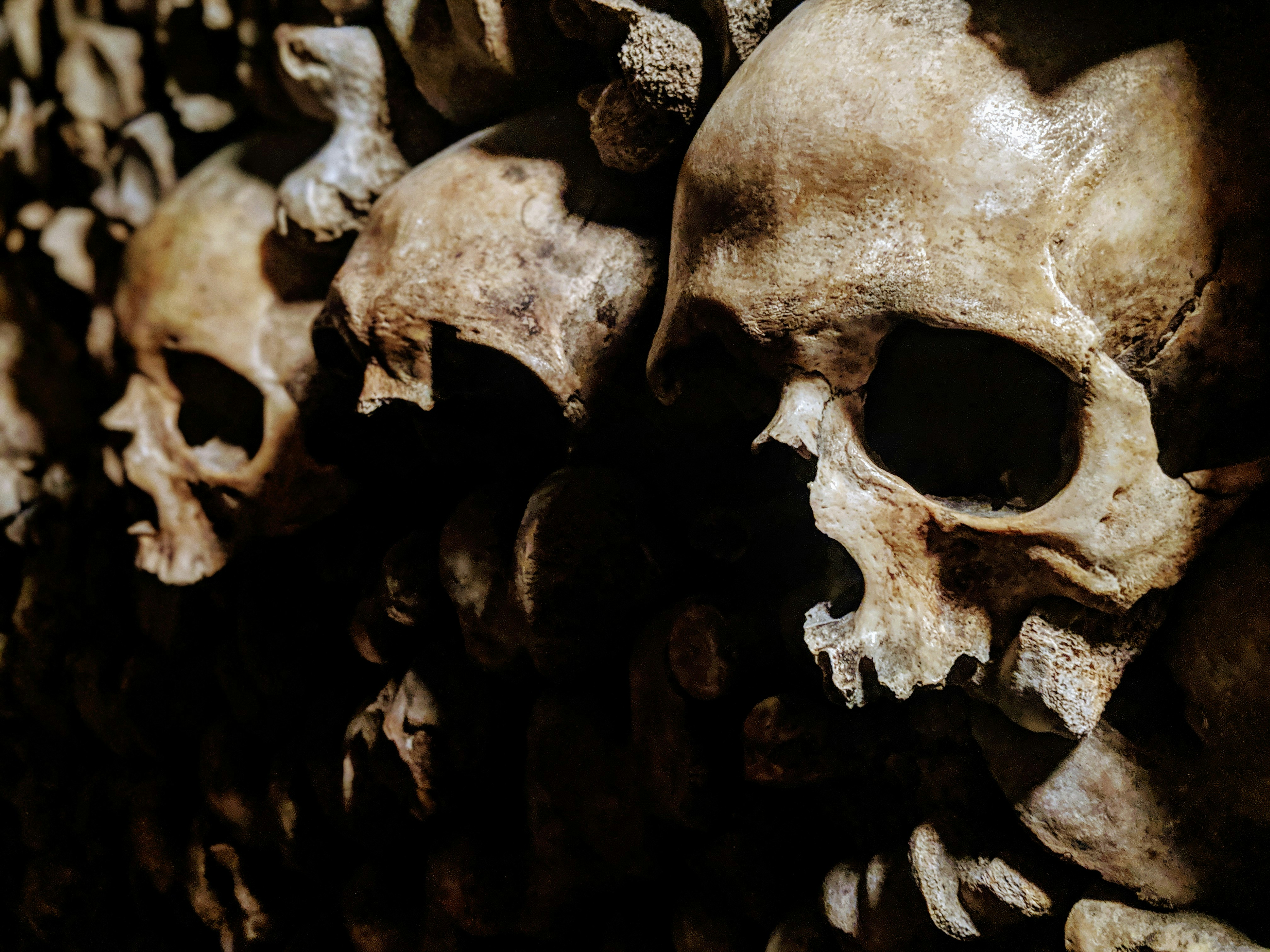 Unearth Paris: A Spine-Chilling Day Trip to the Catacombs