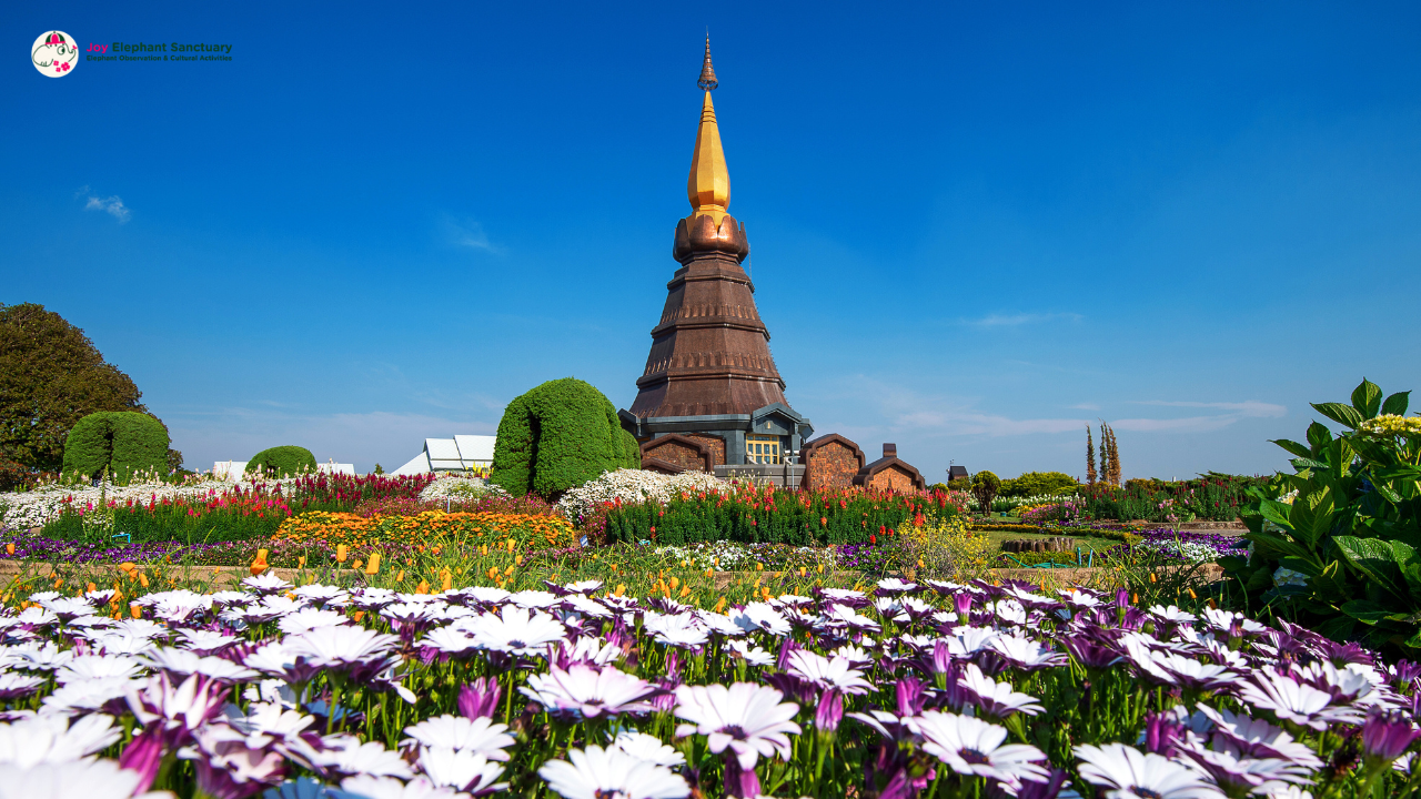 Chiang Mai to Doi Inthanon Guided Nature Trail and Elephant Tour