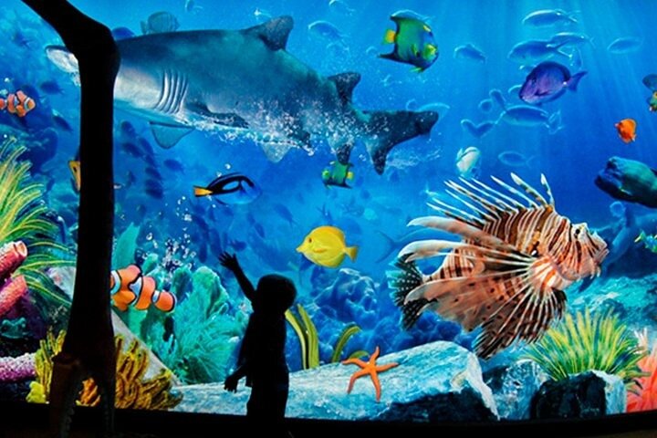 Sea Life Bangkok Ocean World Tickets Sea Life Bangkok Ocean World Tickets