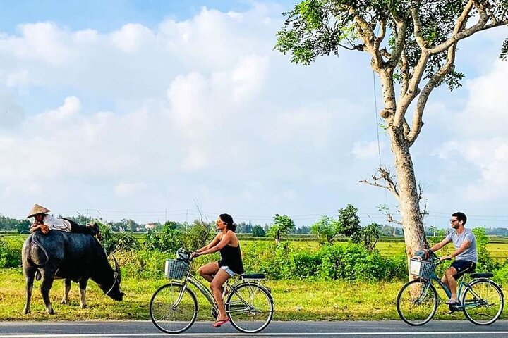 Scenic Hoi An: Private Bike Journey Through the Countryside Scenic Hoi An: Private Bike Journey Through the Countryside