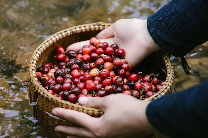 Khe Sanh Essence Highland Coffee & Historical Footsteps